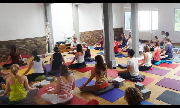 Intensive Yoga Therapie Teacher Training: Upper Body Health